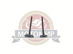 Большая Картинка