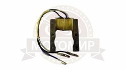 Большая Картинка