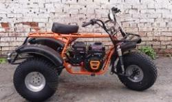 Большая Картинка