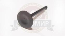 Большая Картинка