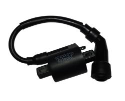 Большая Картинка