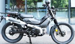 Большая Картинка