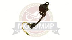 Большая Картинка