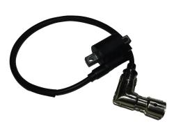 Большая Картинка