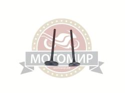 Большая Картинка