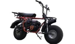 Большая Картинка