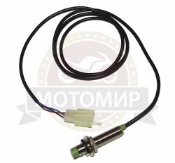 Большая Картинка