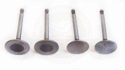 Большая Картинка