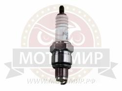 Большая Картинка