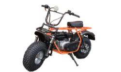 Большая Картинка