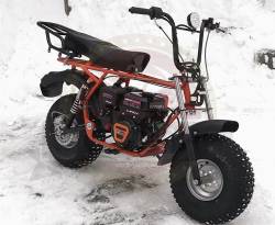 Большая Картинка