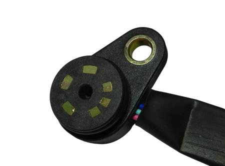 Большая Картинка