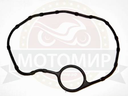 Большая Картинка