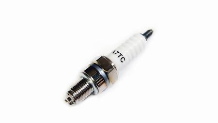 Большая Картинка