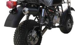 Большая Картинка