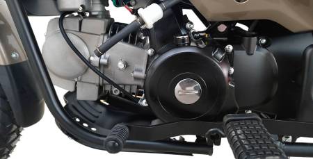 Большая Картинка Большая Картинка