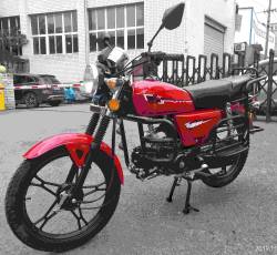 Большая Картинка