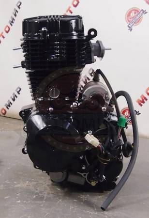 Большая Картинка