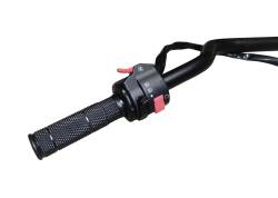 Большая Картинка