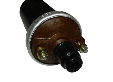 Большая Картинка