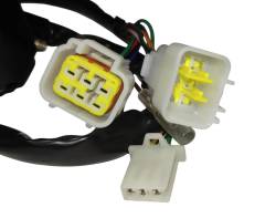 Большая Картинка