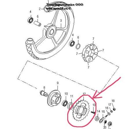 Большая Картинка