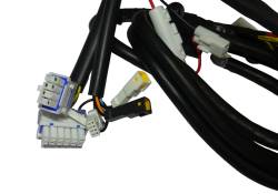 Большая Картинка