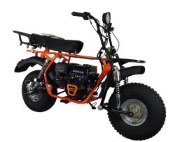 Большая Картинка