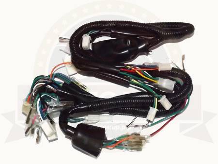 Большая Картинка