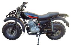 Большая Картинка