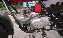 Большая Картинка