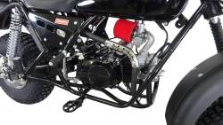 Большая Картинка