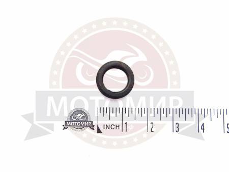 Большая Картинка