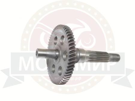 Большая Картинка