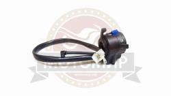 Большая Картинка