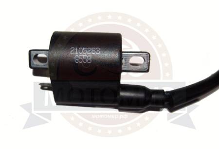 Большая Картинка