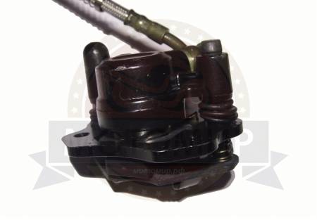 Большая Картинка