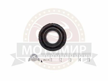 Большая Картинка