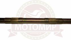 Большая Картинка