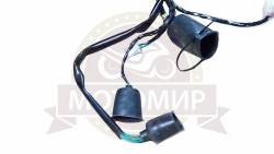 Большая Картинка