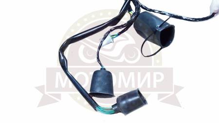 Большая Картинка