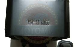 Большая Картинка