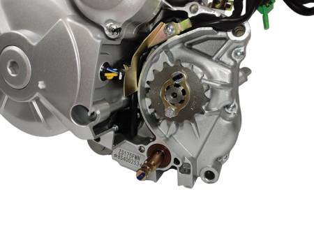 Большая Картинка