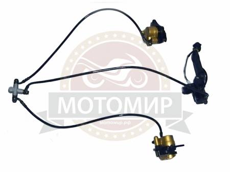 Большая Картинка