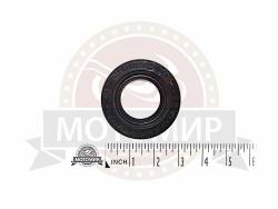 Большая Картинка