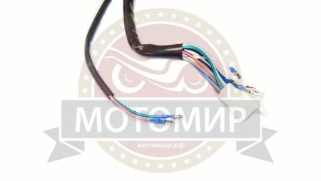 Большая Картинка