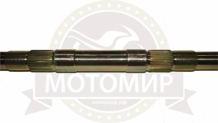 Большая Картинка