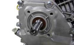 Большая Картинка