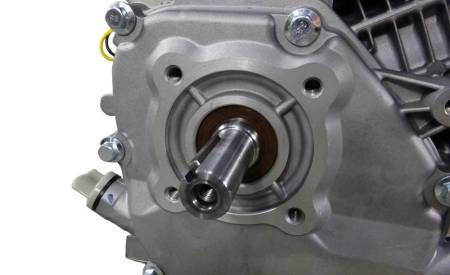 Большая Картинка