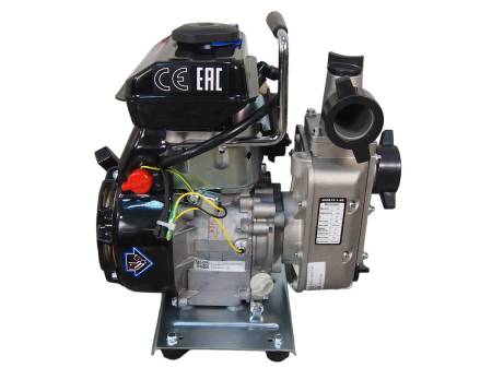 Большая Картинка